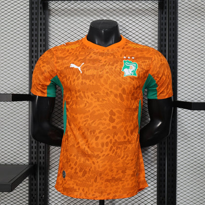 Maillot Côte D’ivoire Domcile 2026